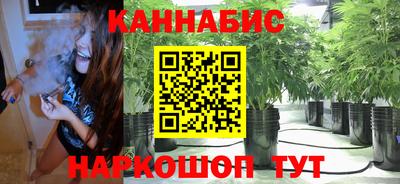 крисы Краснознаменск